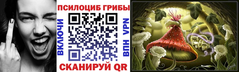Псилоцибиновые грибы Cubensis  дарнет шоп  MEGA ссылки  Оха 